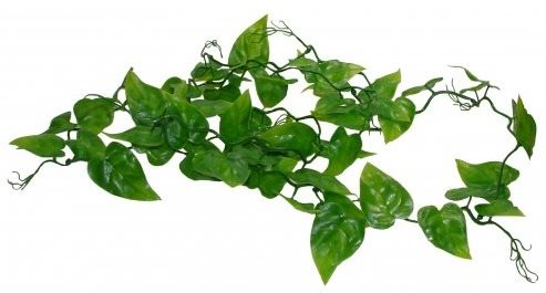 Lucky Reptile Jungle Vine Philo Vine 200 cm