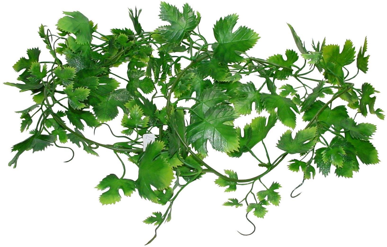 Lucky Reptile Jungle Vine Gape Leaf Vine 200 cm