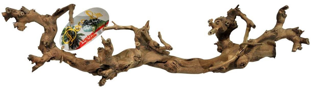 Lucky Reptile Grapevine S 30 – 45 cm