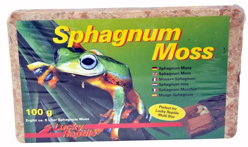Lucky Reptile Sphagnum Moss rašelinník 100 g 5 l