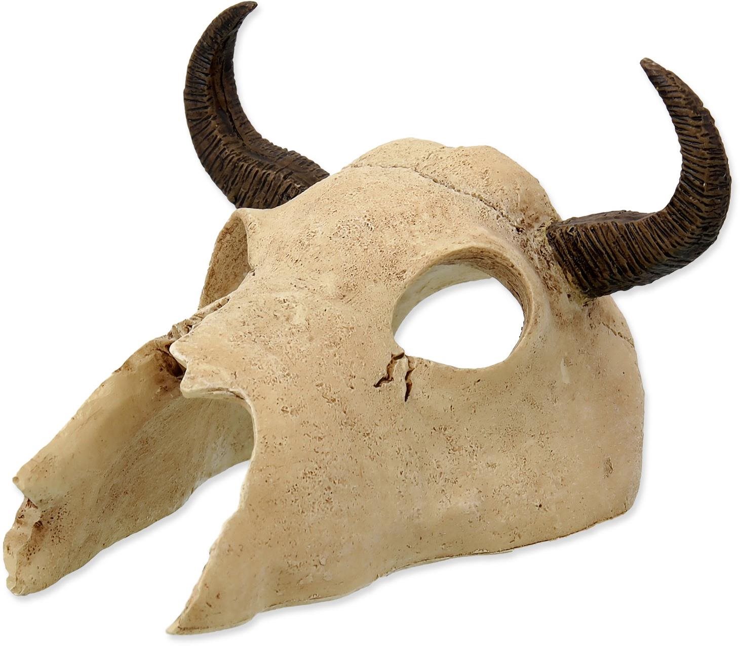 Repti Planet Dekorácia Byvol lebka 12,5 × 11,8 × 8 cm