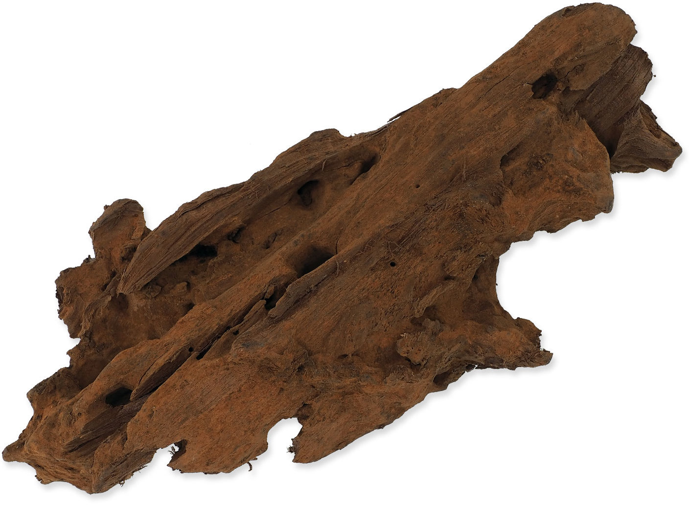 Repti Planet Koreň DriftWood Bulk XS 19 – 23 cm