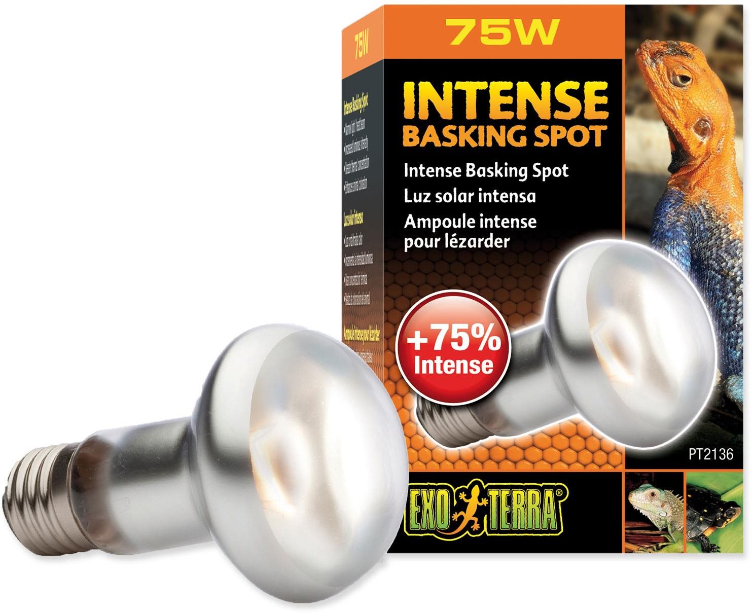 Hagen Žárovka Intense Basking Spot 75 W