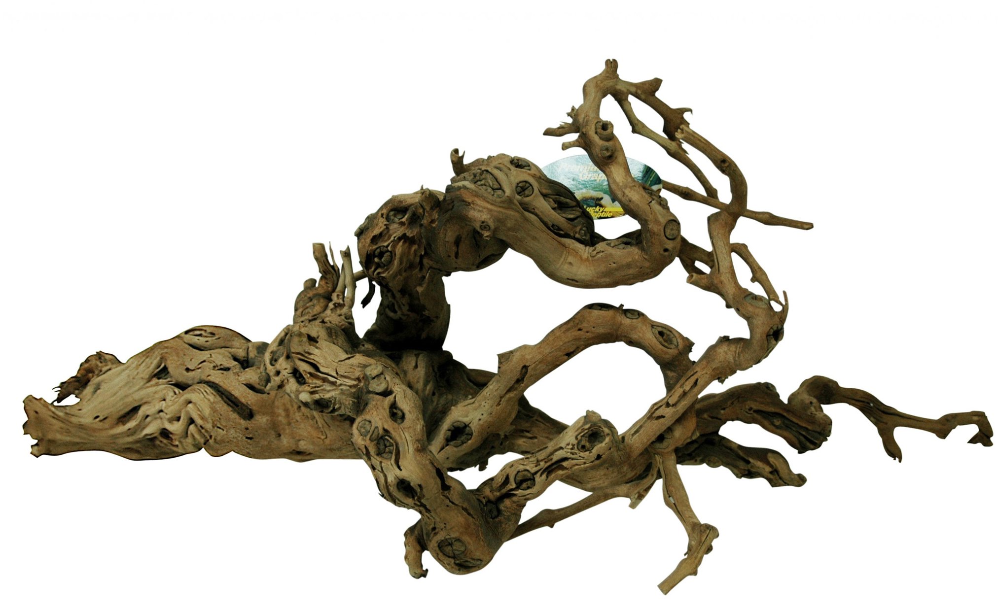 Lucky Reptile Grapevine Premium 80 – 100 cm