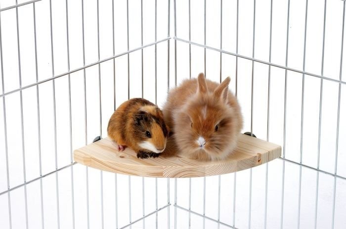 Karlie Poschodie do klietky 14 × 14 × 1,8 cm