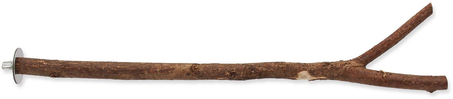 Bird Jewell bidlo drevené prírodné 40 cm