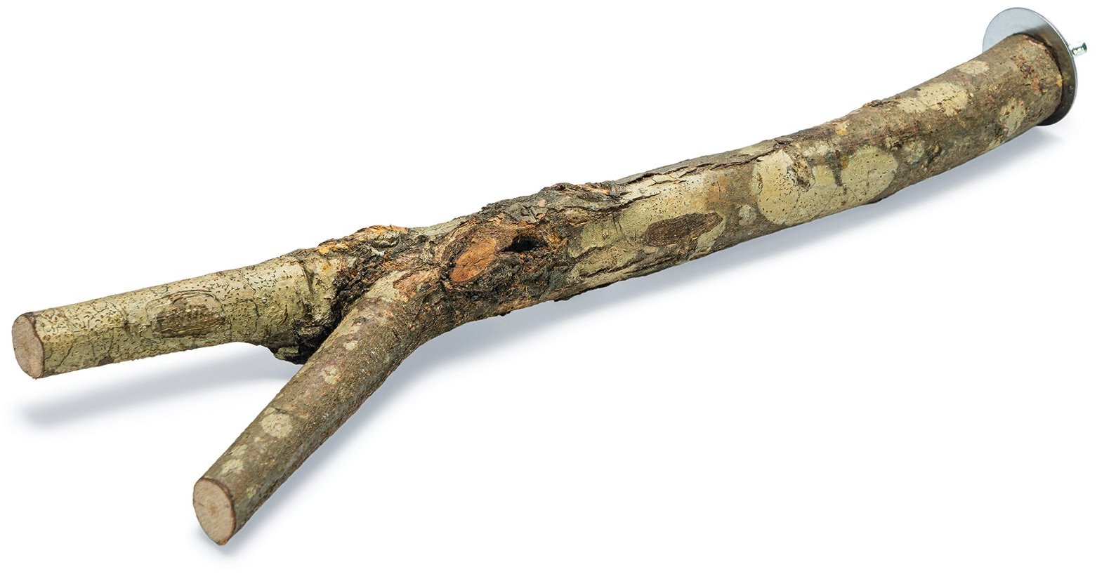 Karlie Bidlo z prírodného dreva 30 cm