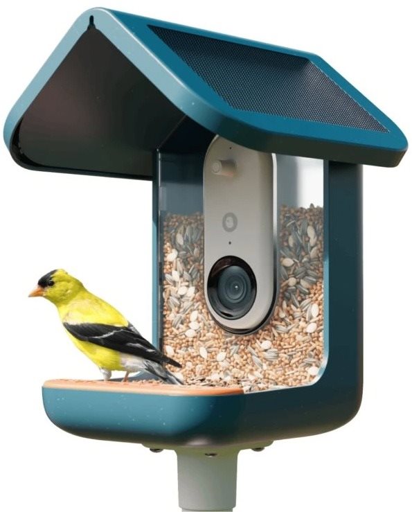 Bird Buddy Smart Bird Feeder Pro Solar Blue