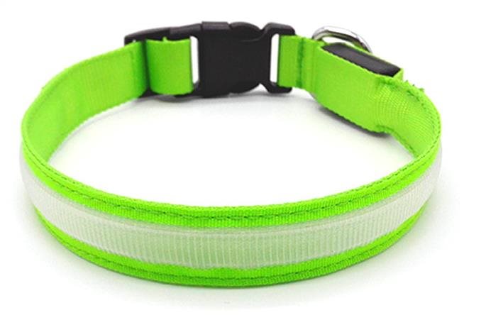 Bentech LED svietiaci obojok DC3100 zelený S