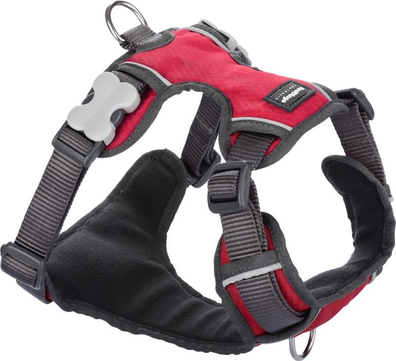 Red Dingo Postroj vystužený červený S 37 – 52 cm