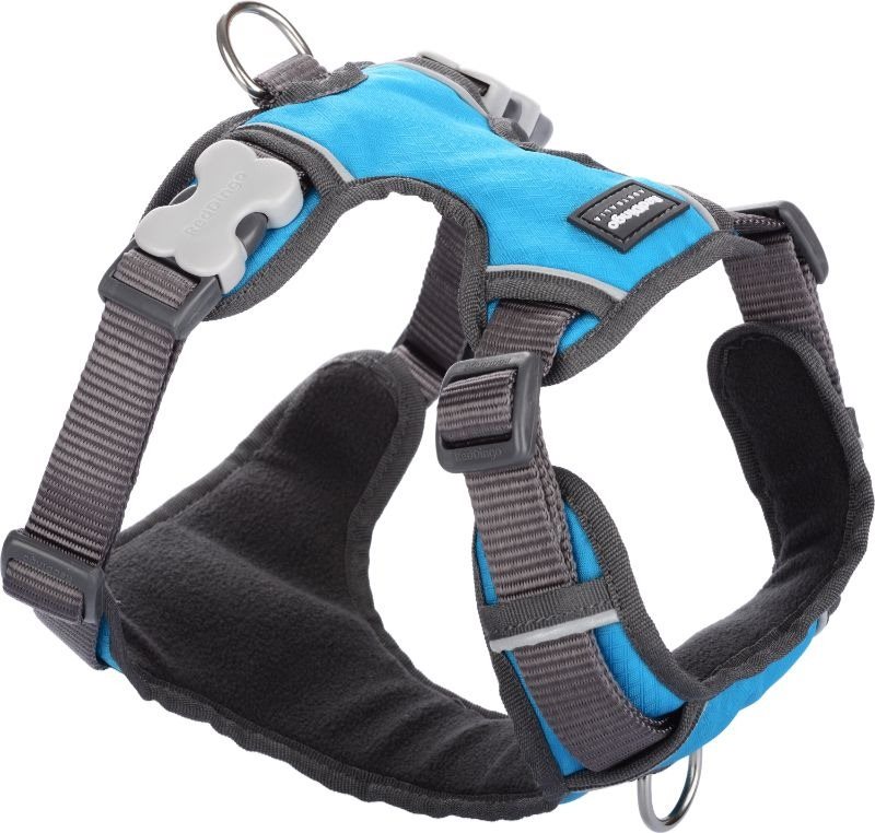 Red Dingo Postroj vystužený tyrkysový S 37 – 52 cm