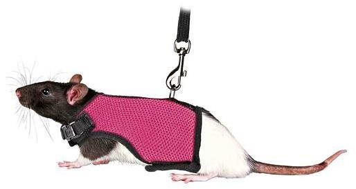 Trixie Vesta Postroj s vodidlom pre potkana