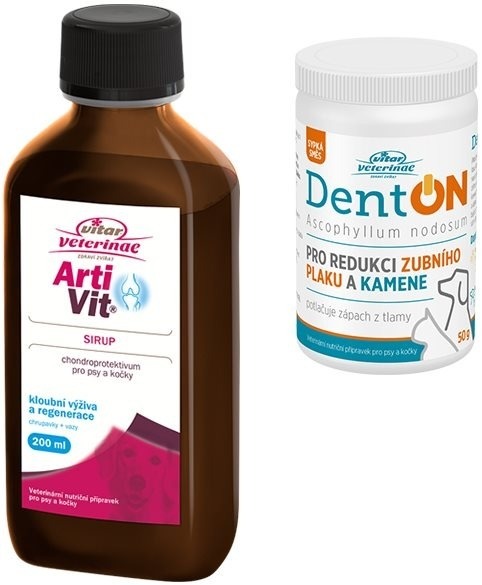Vitar Veterinae Artivit sirup 200 ml + Zadarmo DentOn 50 g