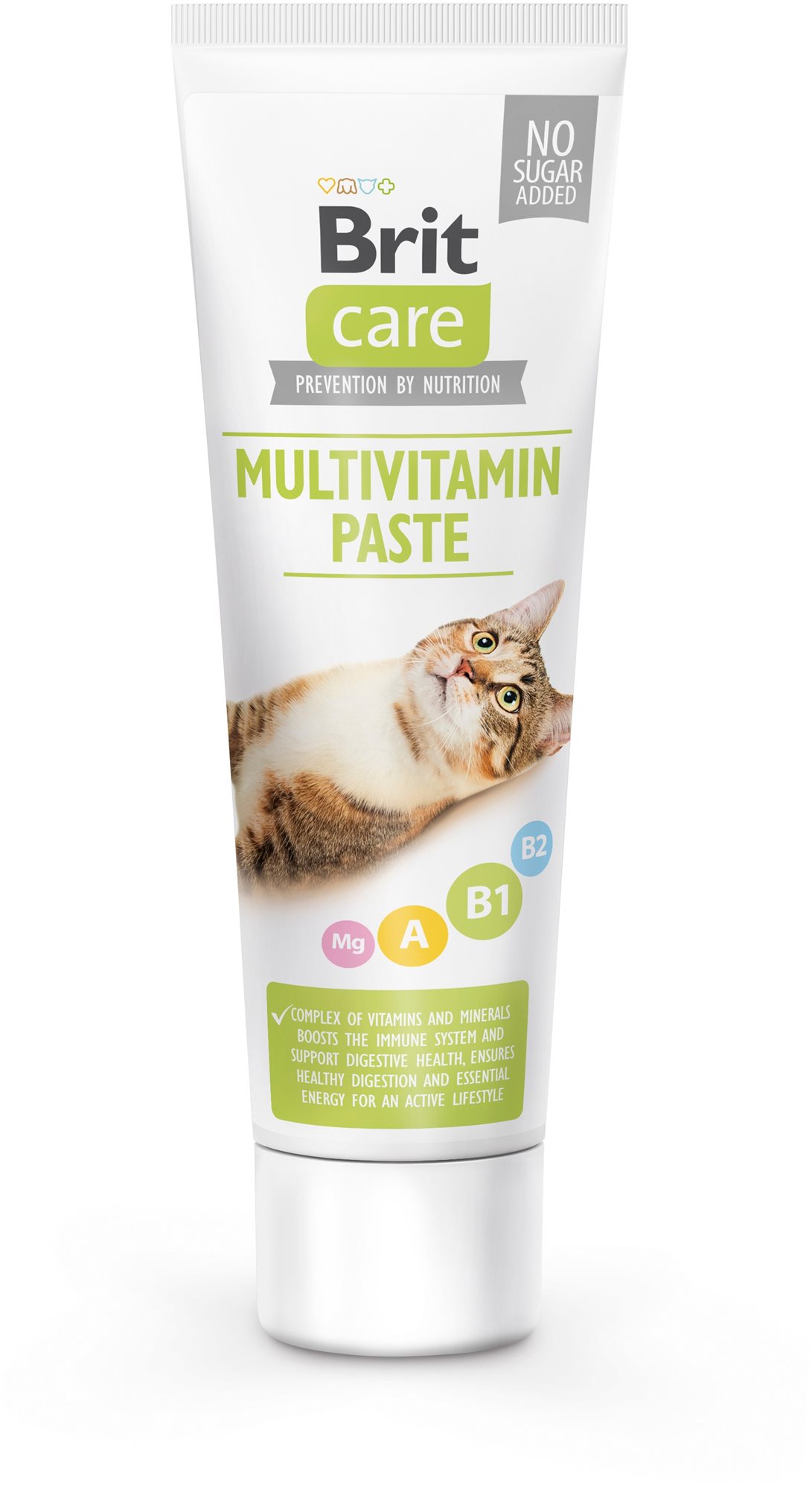 Brit Care Cat Multivitamínová pasta pre mačky 100 g
