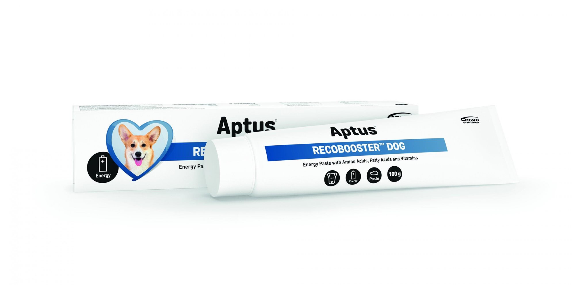 Aptus Recobooster Dog 100 g