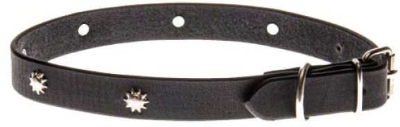 Cobbys Pet Obojok z pravej olejovej kože zdobený motívom slnka 20 mm/50 cm