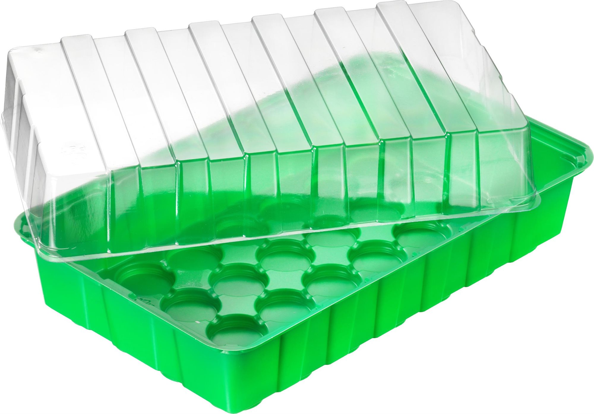 MEISTER Nádoba na predpestovanie, 36 × 22 × 13 cm