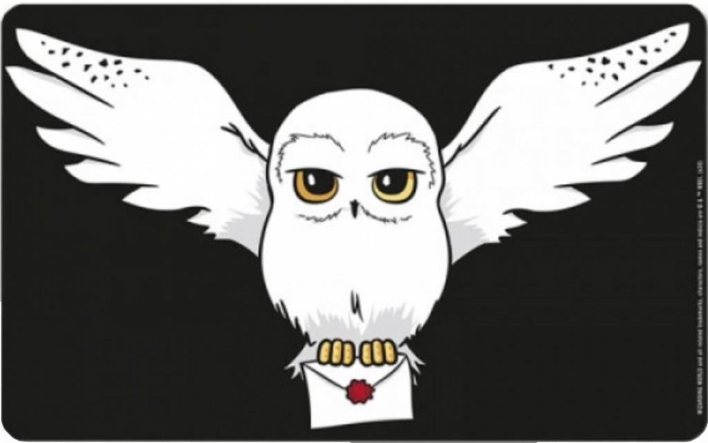 LOGOSHIRT Harry Potter: Hedwig Letter