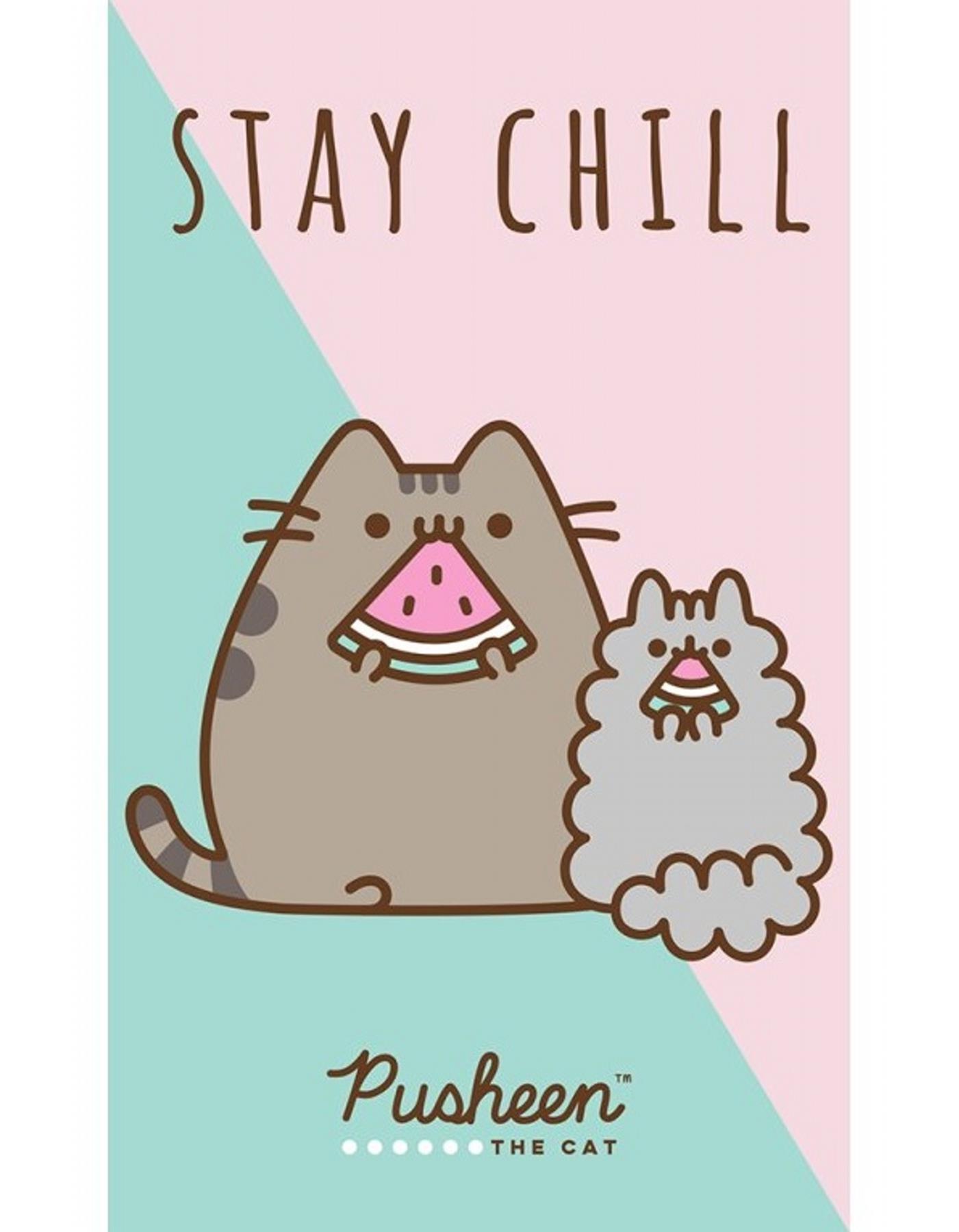 Carbotex Detský uterák Mačička Pusheen Stay Chill, 30 × 50 cm