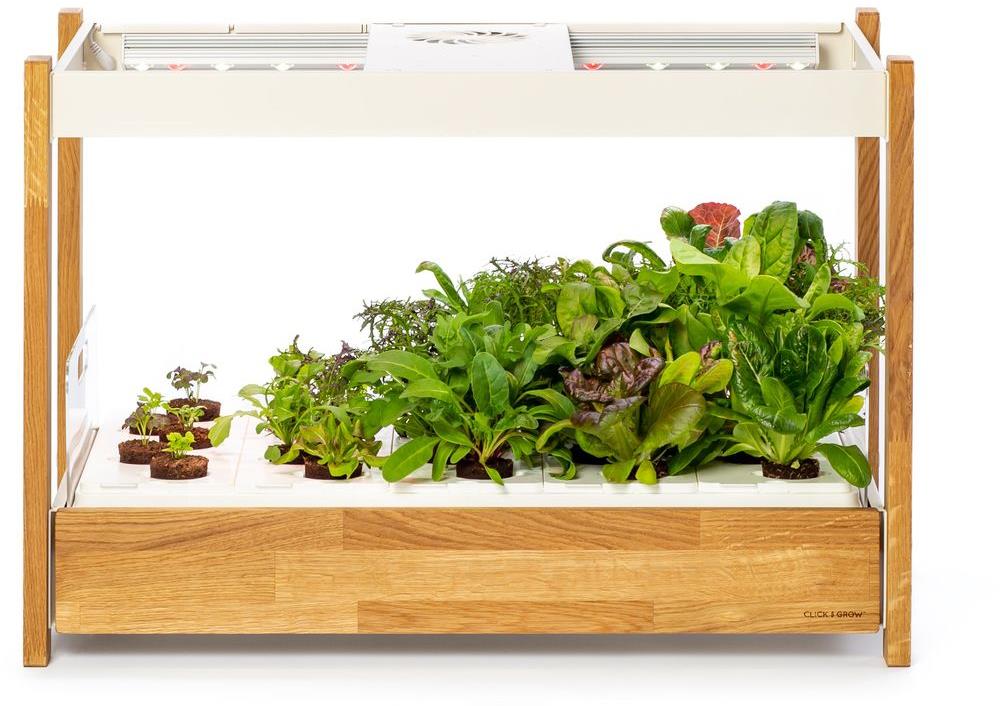 Click and Grow 25, biela