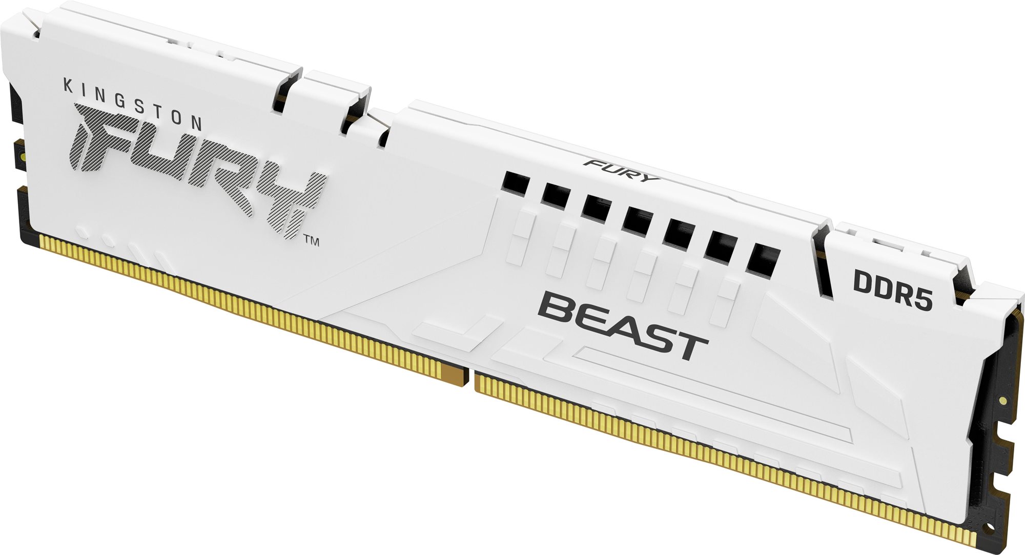 Kingston FURY 32 GB DDR5 5600 MHz CL36 Beast White EXPO