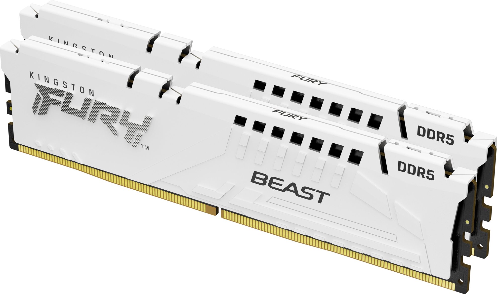 Kingston FURY 64 GB KIT DDR5 6000 MHz CL36 Beast White EXPO