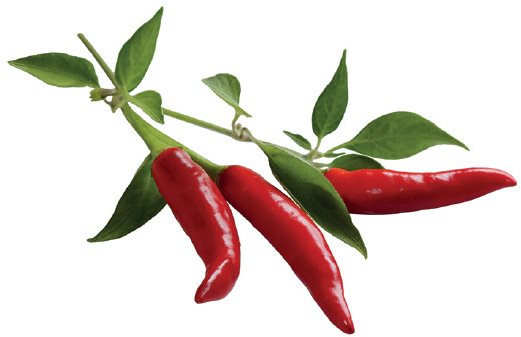 Click And Grow Chili Pepper