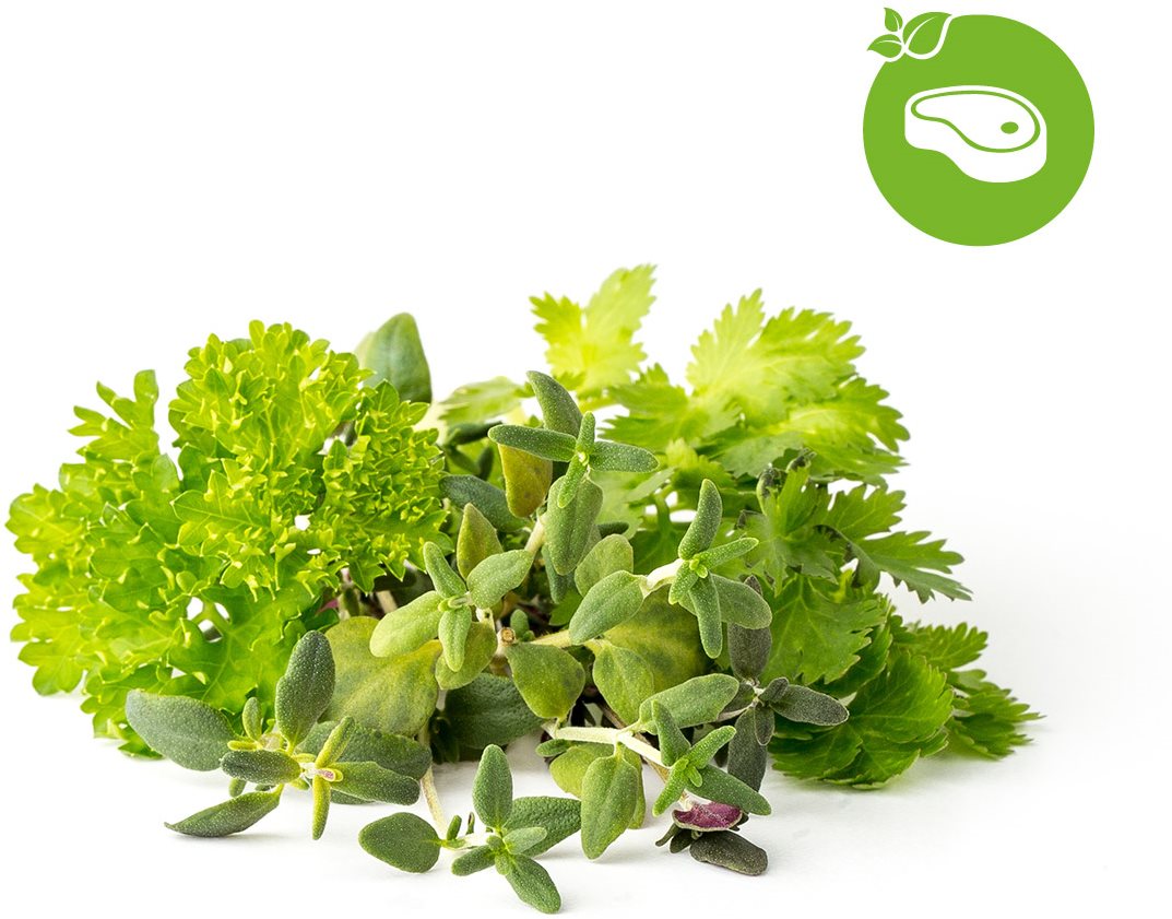 Click and Grow Mix Steak & Grill