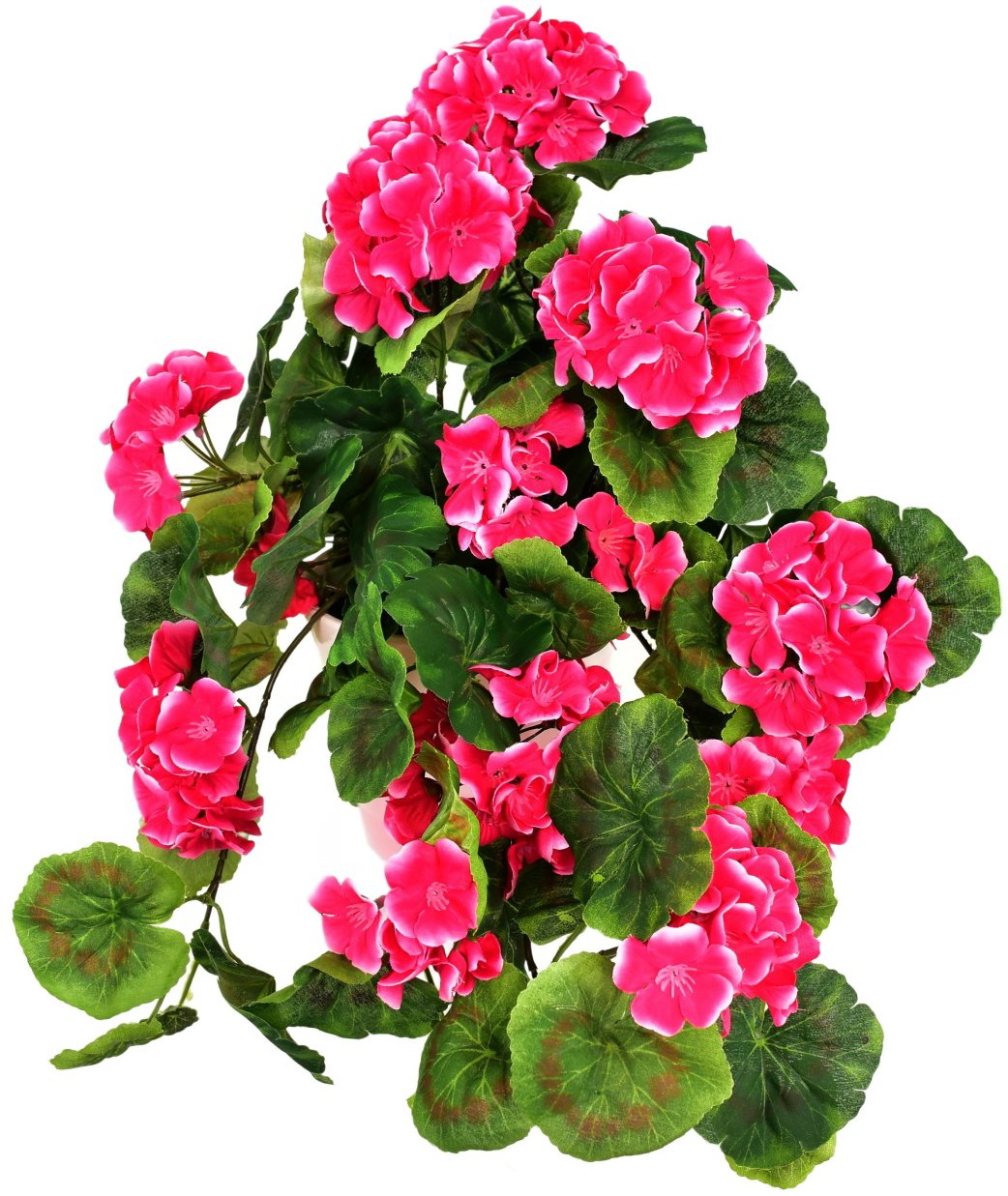 BerryHome Muškát previsnutý ružový v keramickom kvetináči 50 × 35 cm