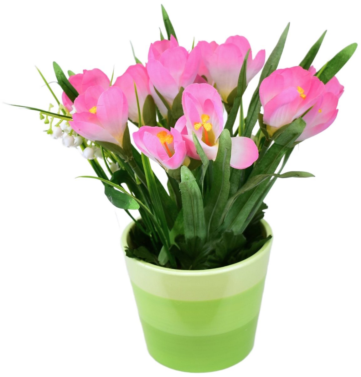 BerryHome Krokus ružový v keramickom kvetináči 27 × 25 cm