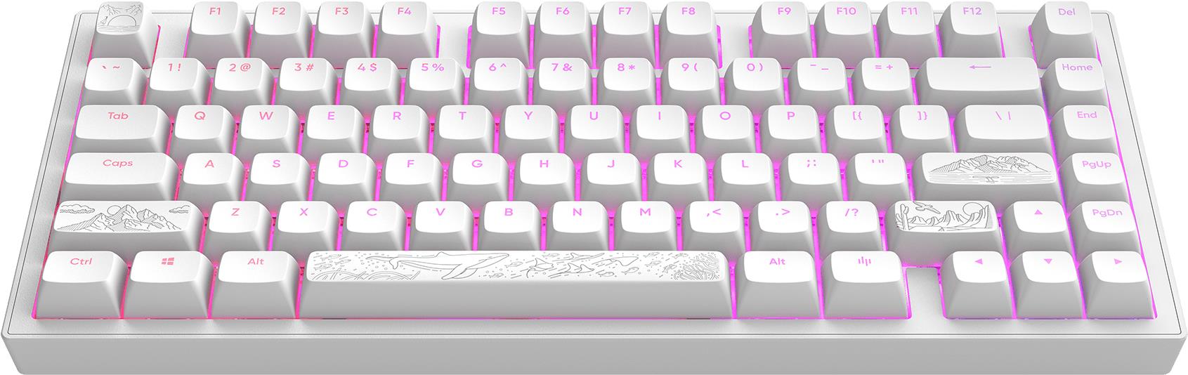 Dark Project ALU Terra Nostra White – US