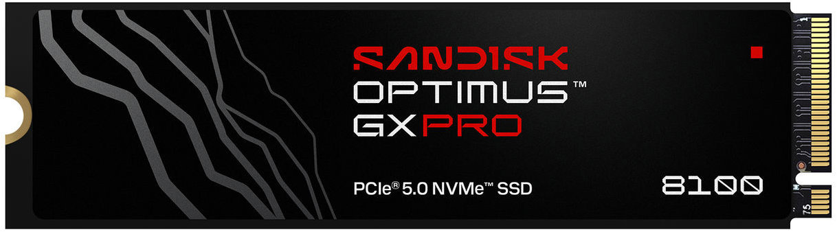 SANDISK OPTIMUS GX PRO 8100 1TB