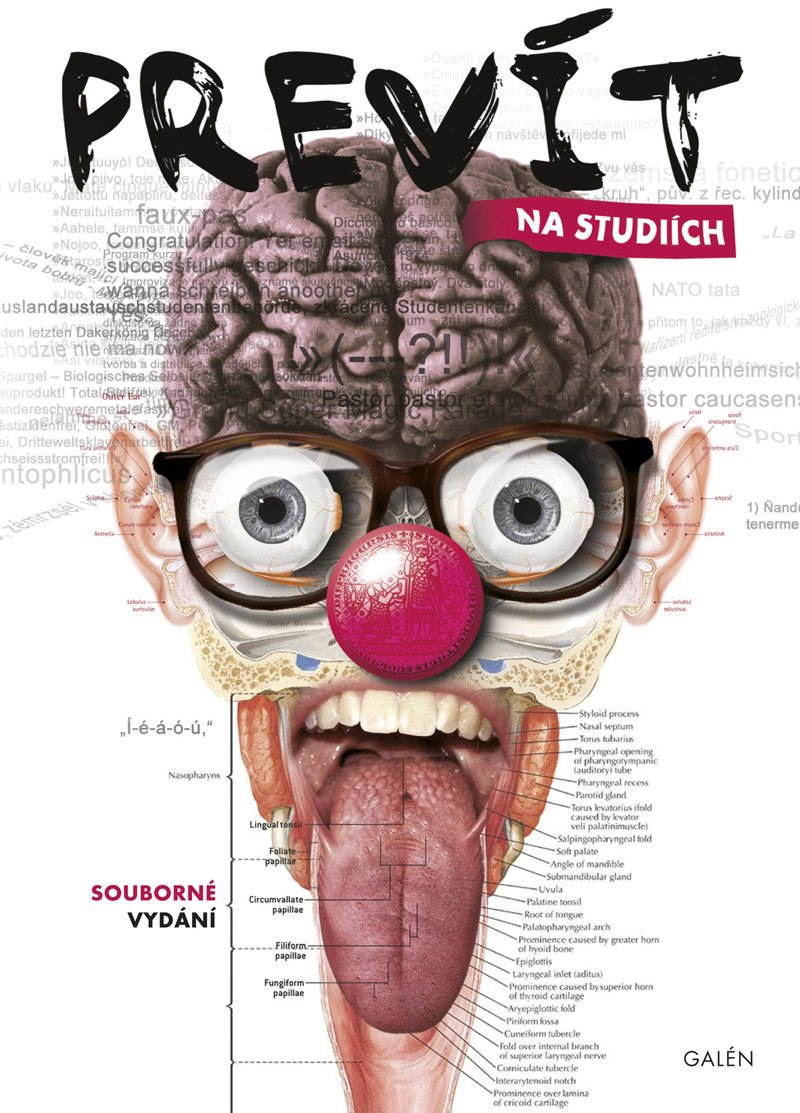 Prevít na studiích