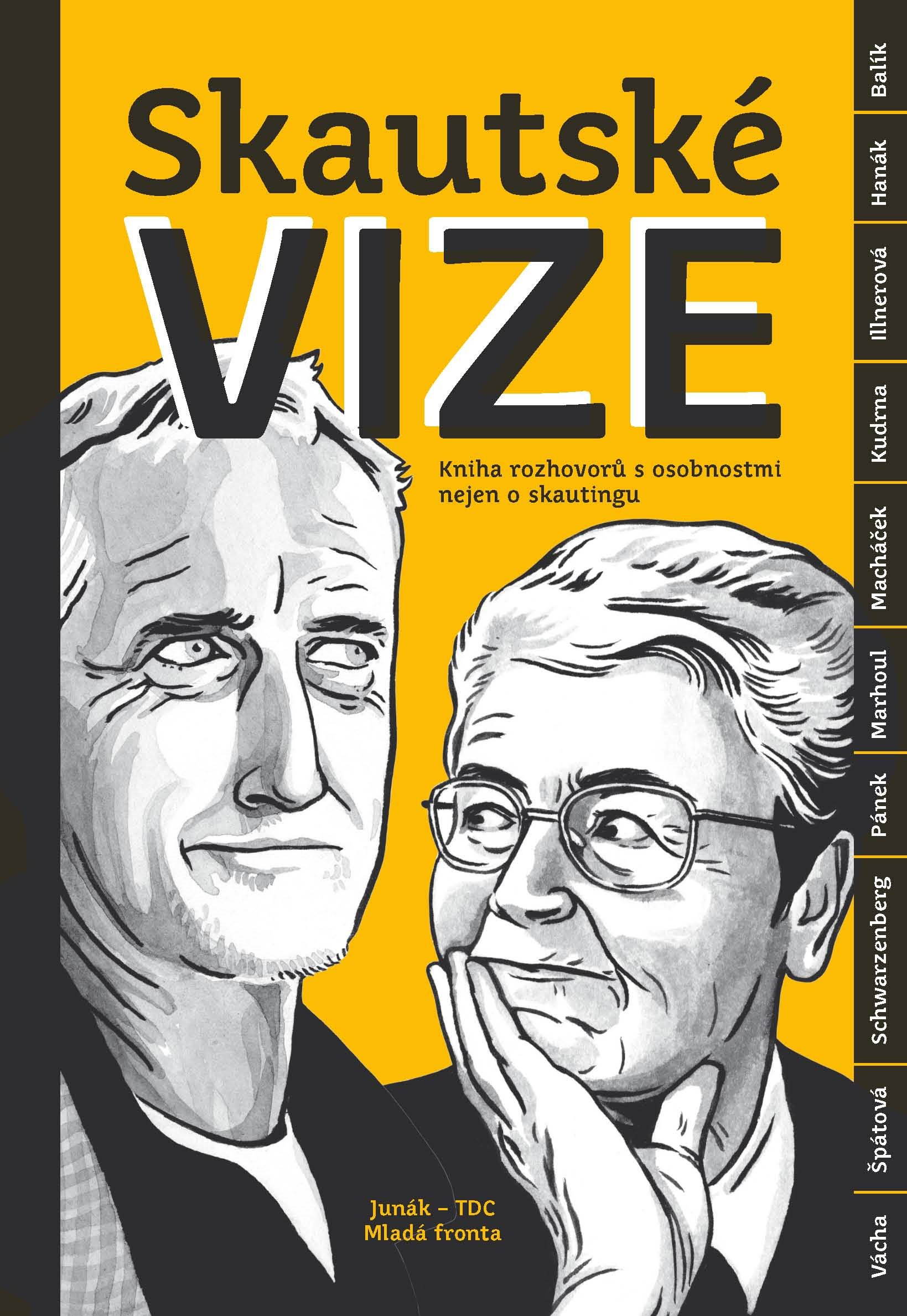 Skautské vize