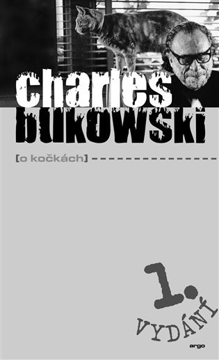 O kočkách