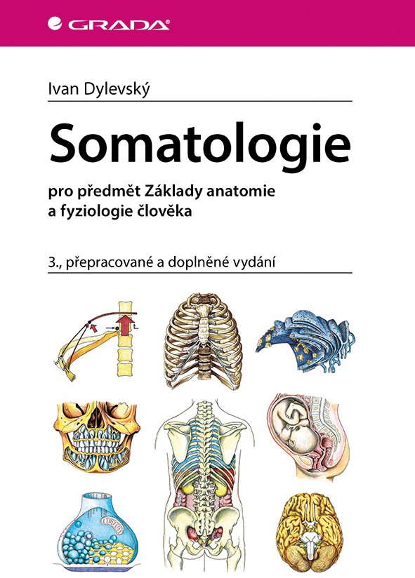 Somatologie