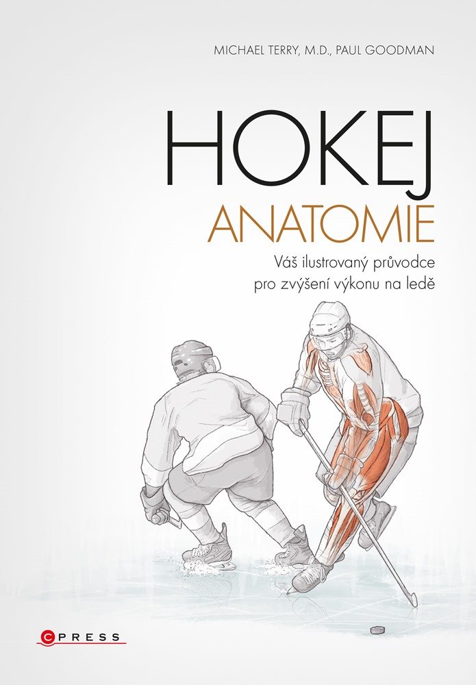 Hokej - anatomie