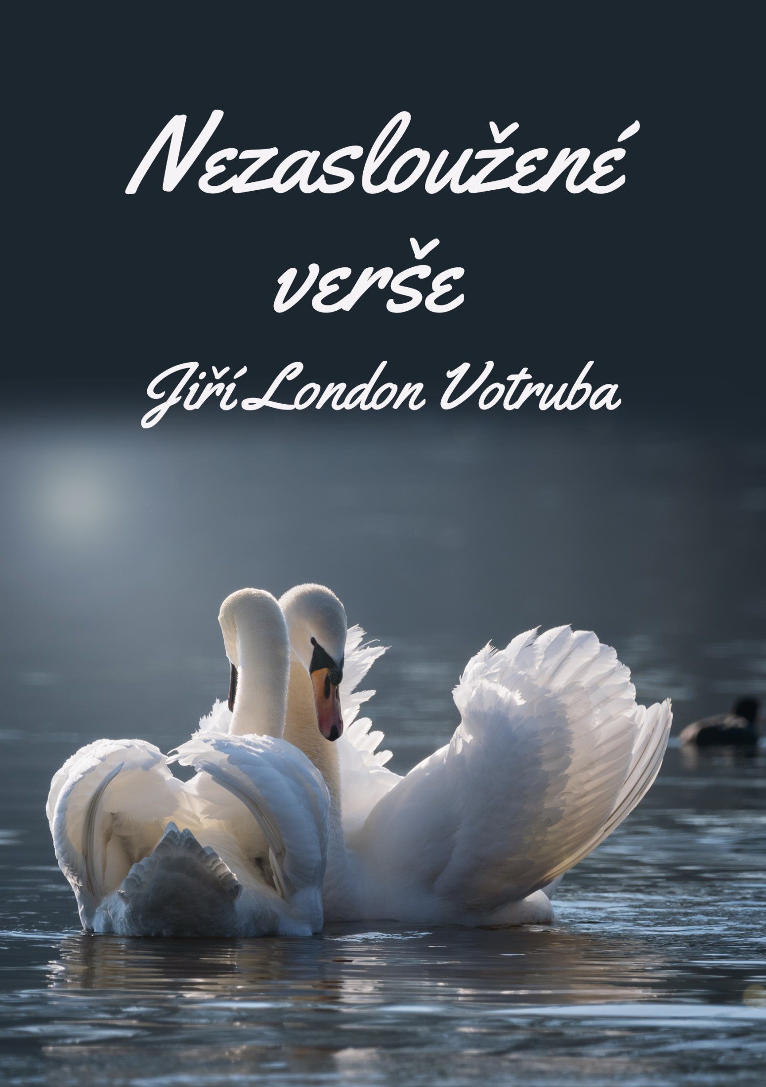 Nezasloužené verše