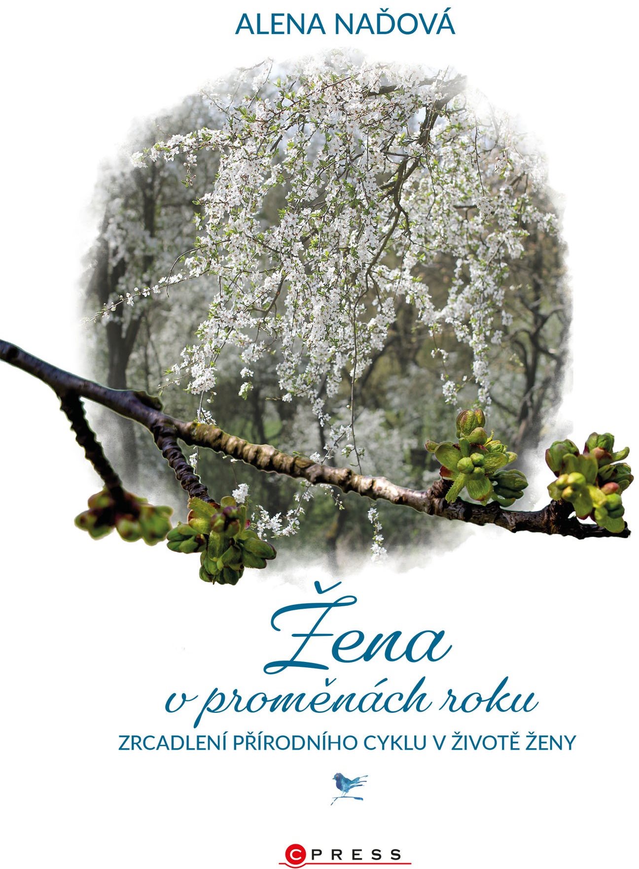 Žena v proměnách roku