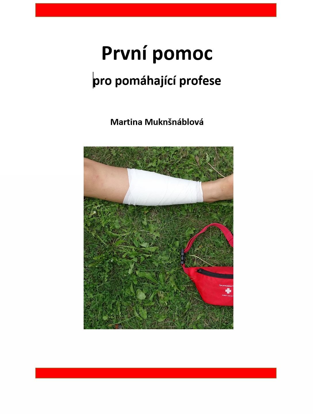 První pomoc pro pomáhající profese