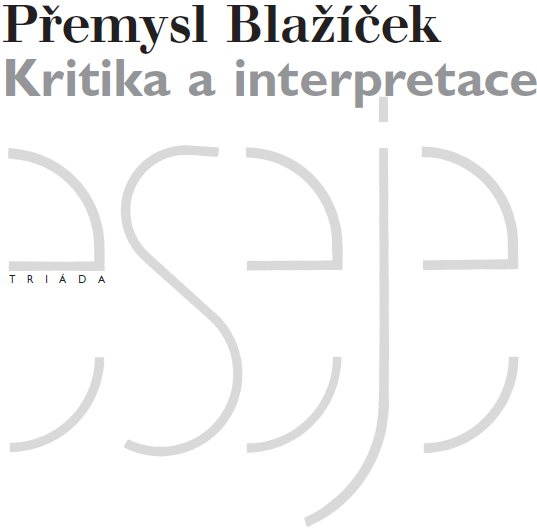 Kritika a interpretace