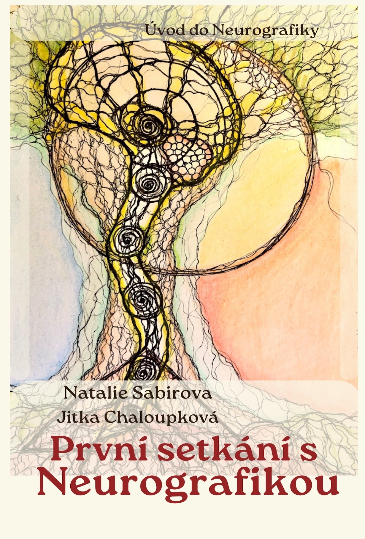 Úvod do neurografiky