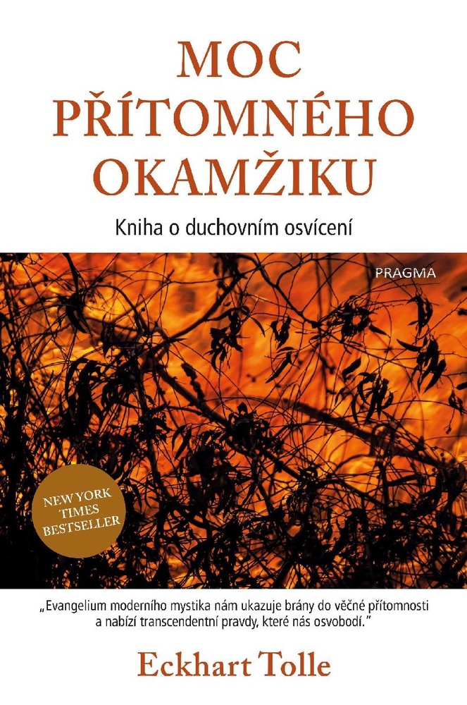 Moc přítomného okamžiku