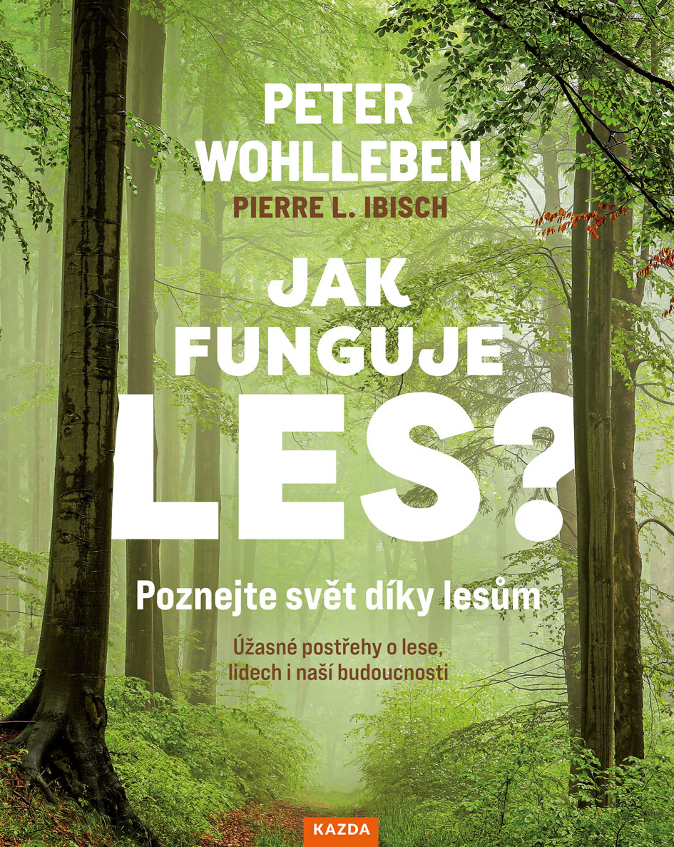 Jak funguje les?