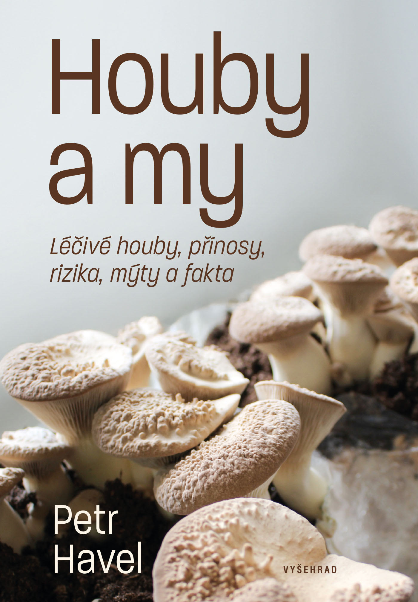 Houby a my