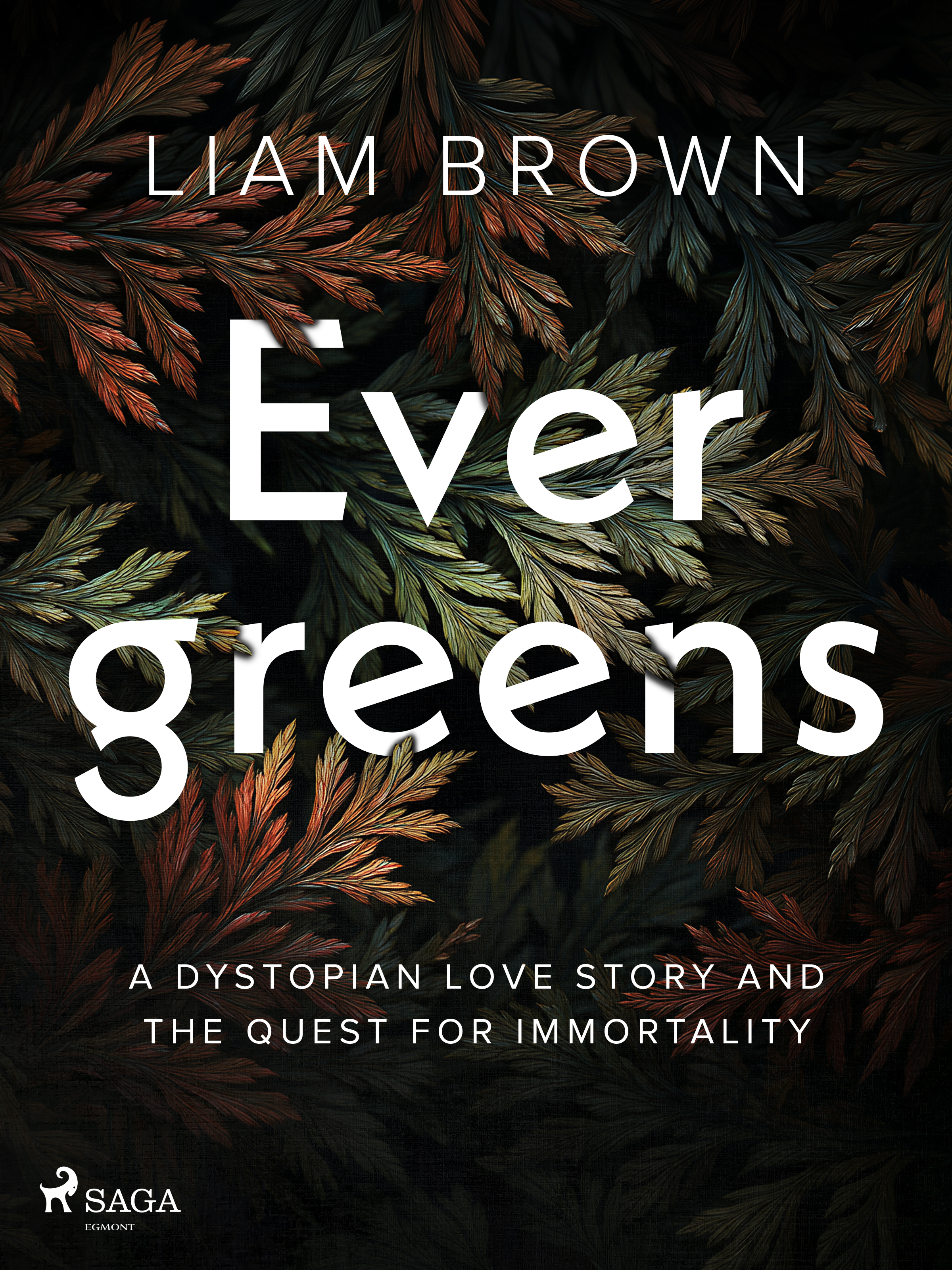 Evergreens