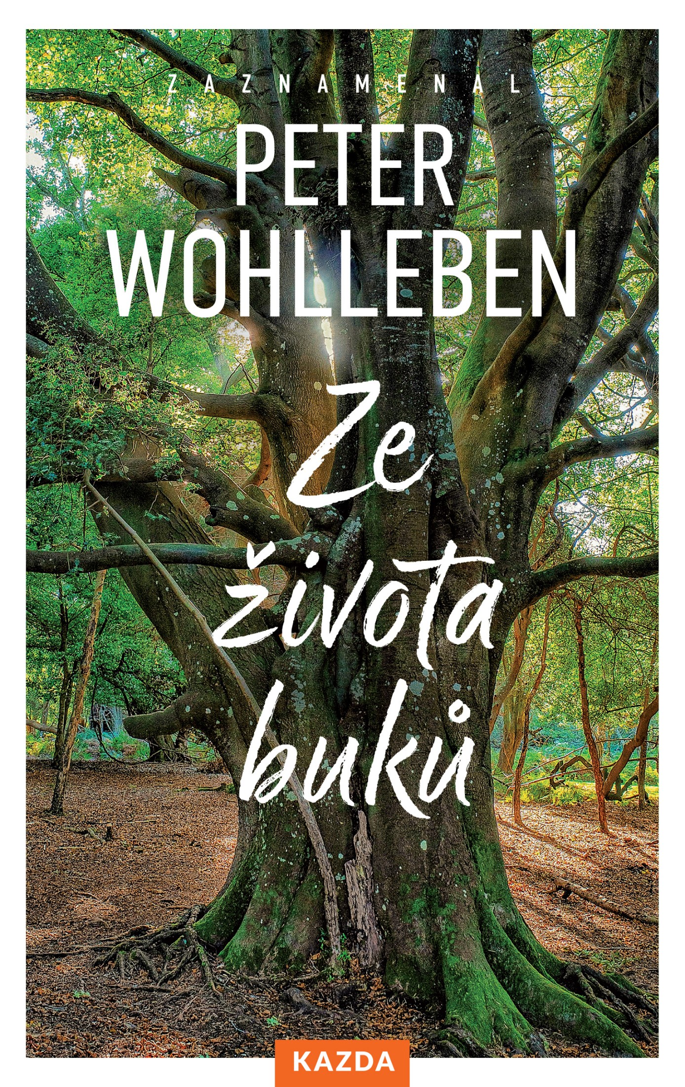 Ze života buků