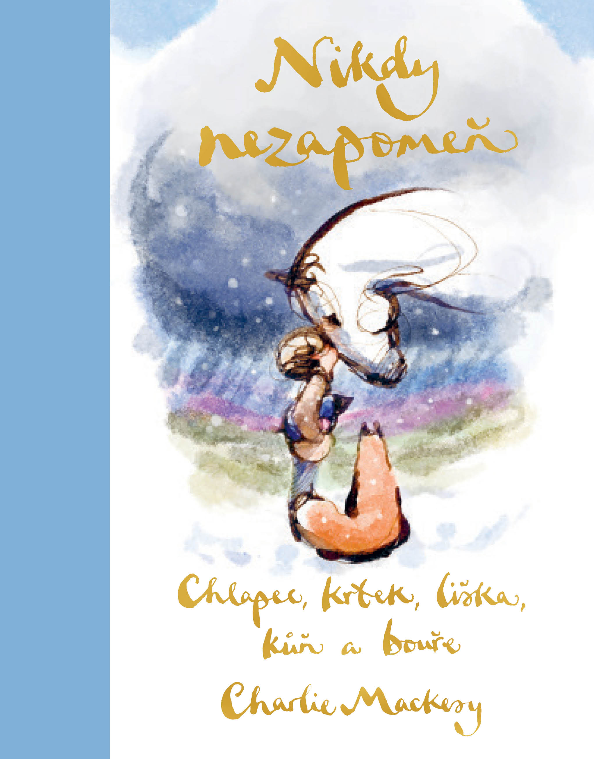 Chlapec, krtek, liška, kůň a bouře: Nikdy nezapomeň
