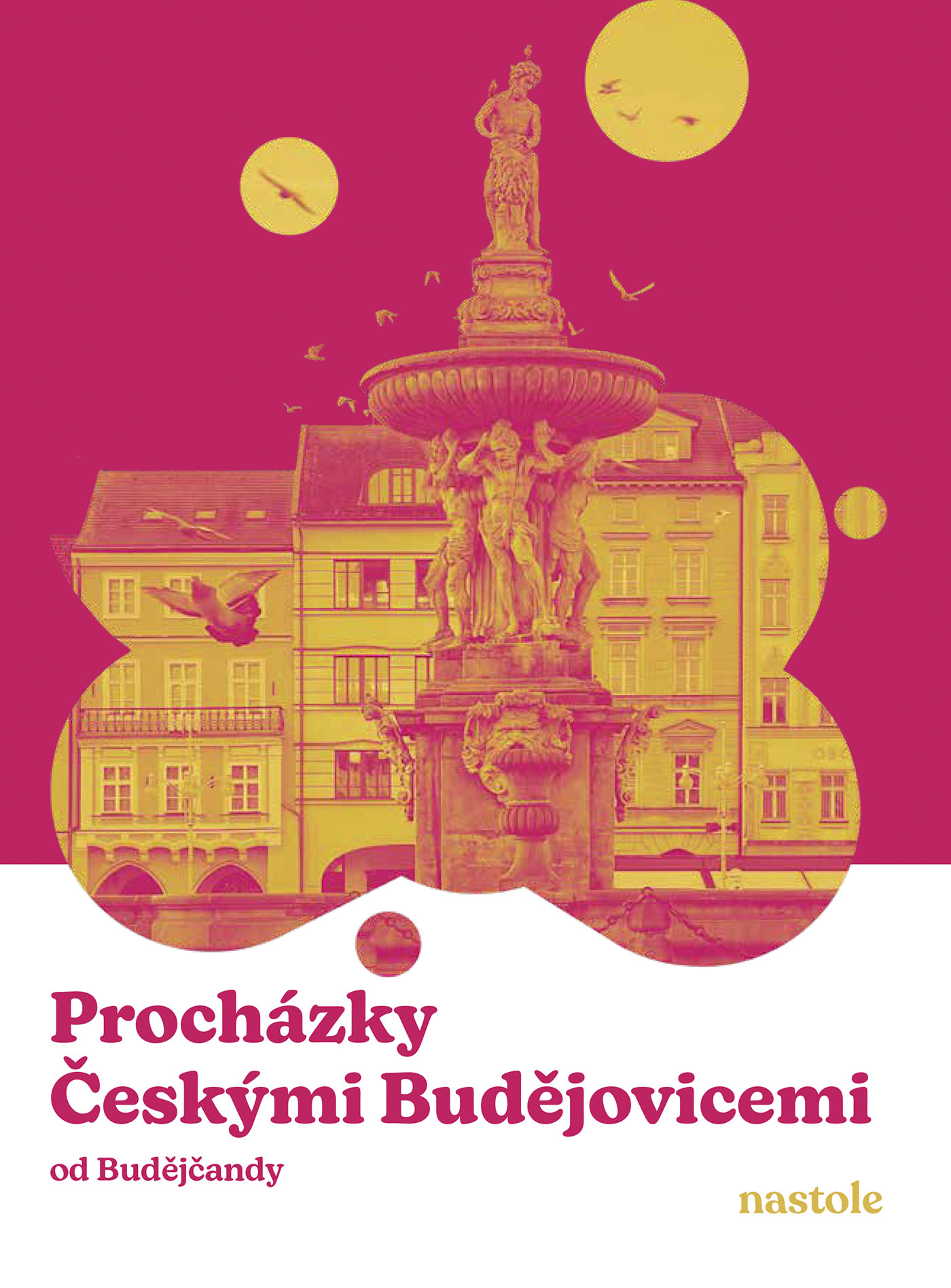 Procházky Českými Budějovicemi