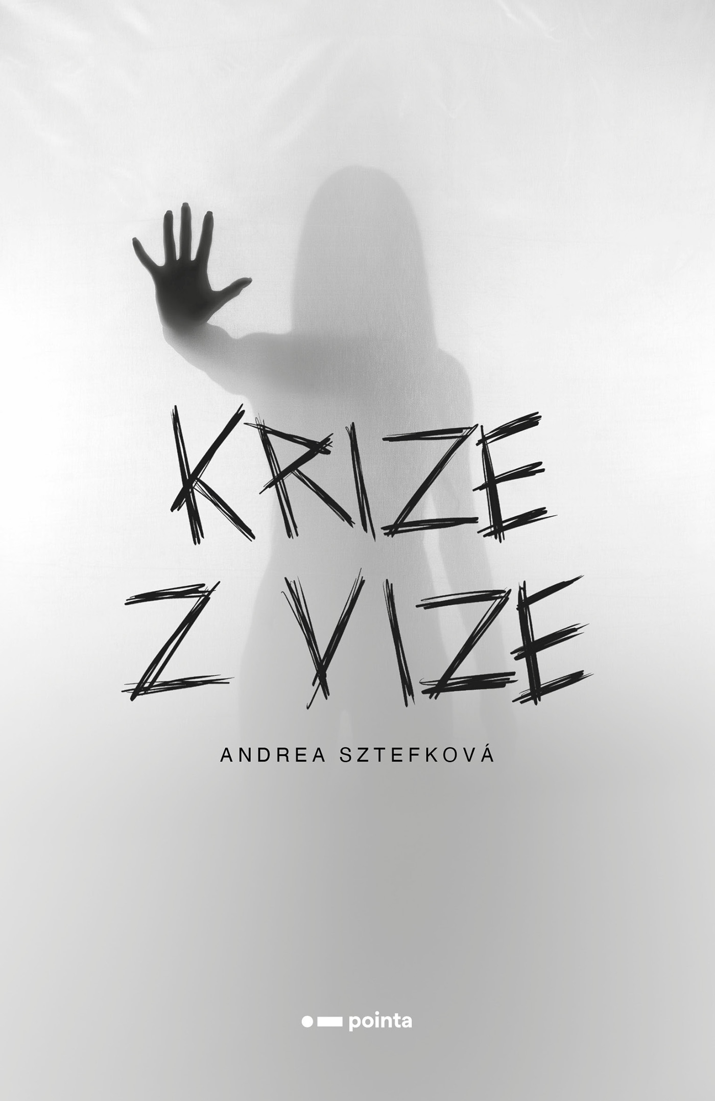 Krize z vize